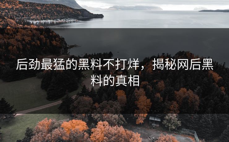 后劲最猛的黑料不打烊，揭秘网后黑料的真相