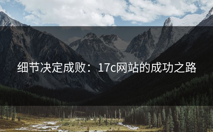 细节决定成败：17c网站的成功之路