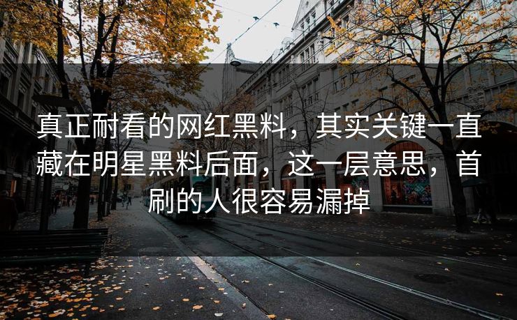 真正耐看的网红黑料，其实关键一直藏在明星黑料后面，这一层意思，首刷的人很容易漏掉