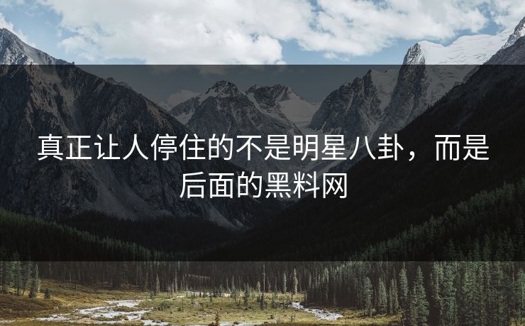 真正让人停住的不是明星八卦，而是后面的黑料网