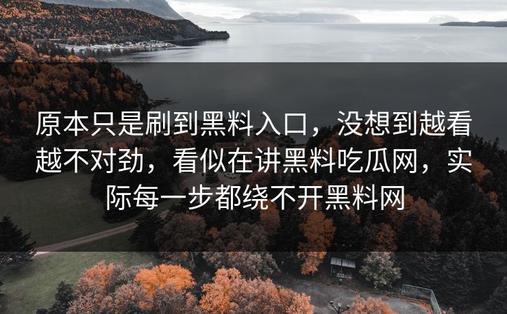 原本只是刷到黑料入口，没想到越看越不对劲，看似在讲黑料吃瓜网，实际每一步都绕不开黑料网