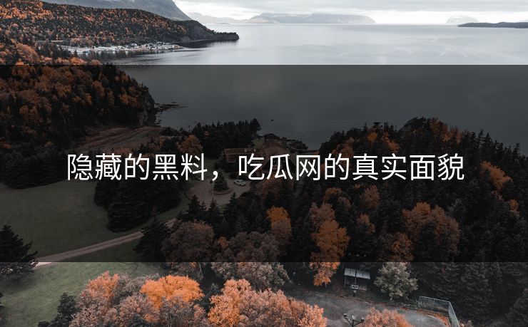 隐藏的黑料，吃瓜网的真实面貌