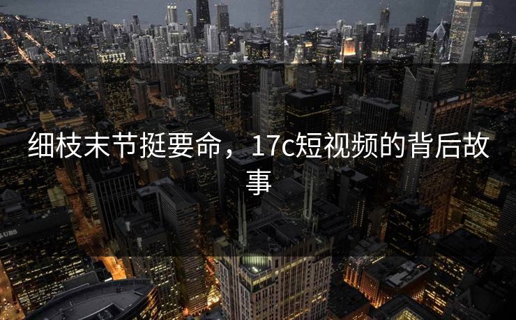 细枝末节挺要命，<strong>17C</strong>短视频的背后故事
